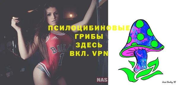 MDMA Инсар