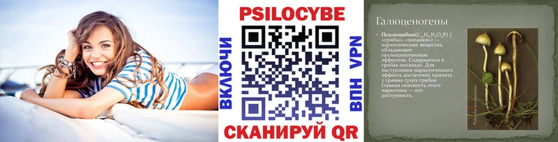 Купить где  Туймазы  Псилоцибиновые грибы Magic Shrooms 